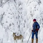 Yllaeksen Yoepuu Сasa de vacaciones *