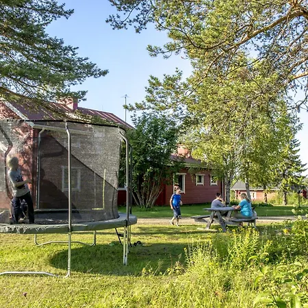 Yllaeksen Yoepuu *