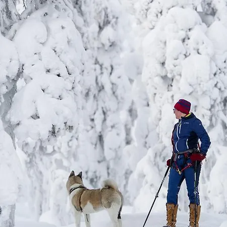 Yllaeksen Yoepuu Feriehus *