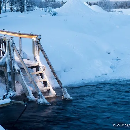Yllaeksen Yoepuu