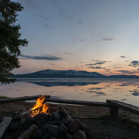 Yllaeksen Yoepuu
