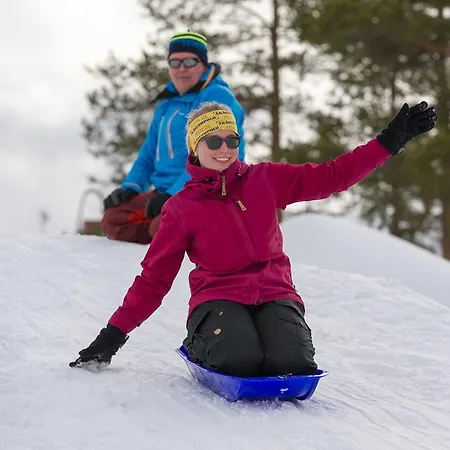 Feriehus Yllaeksen Yoepuu
