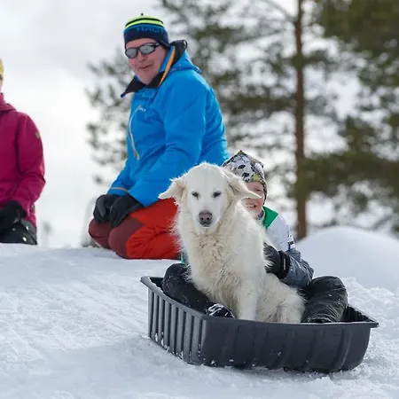 Yllaeksen Yoepuu Holiday home Akaslompolo