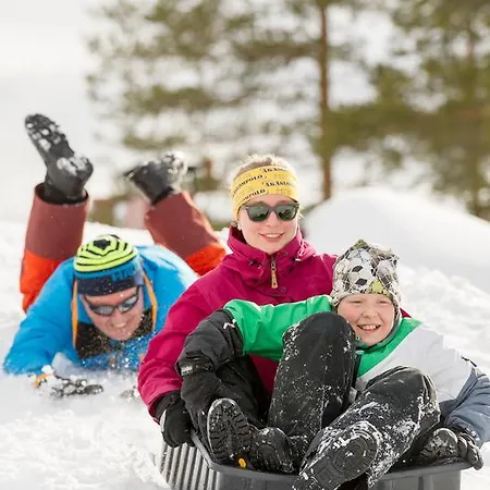 Yllaeksen Yoepuu Feriehus