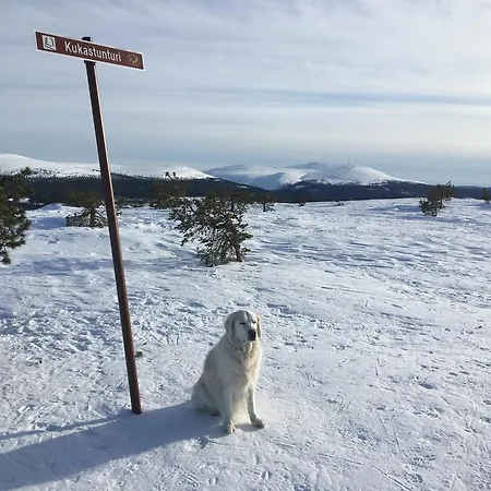 Holiday home Yllaeksen Yoepuu Akaslompolo