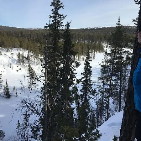 Nyaraló Yllaeksen Yoepuu