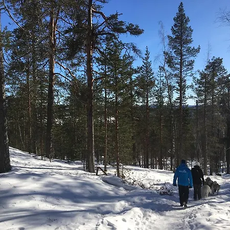 Feriehus Yllaeksen Yoepuu