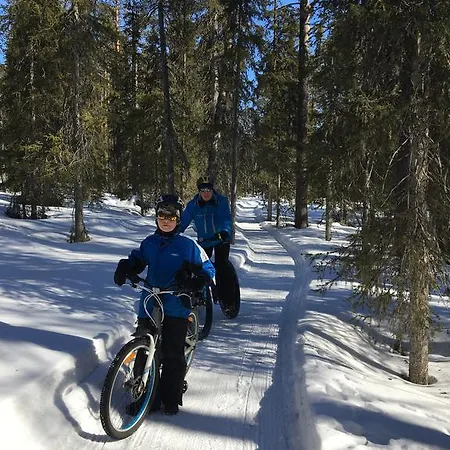 Yllaeksen Yoepuu Holiday home *