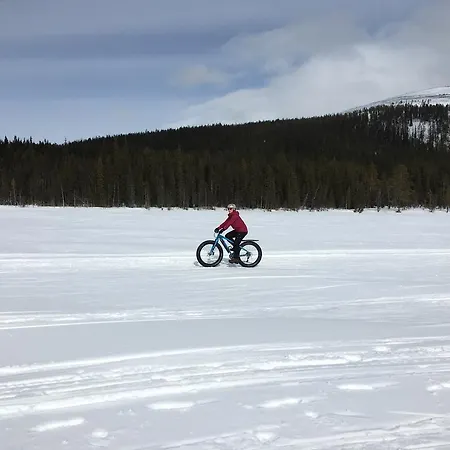 Feriehus Yllaeksen Yoepuu *