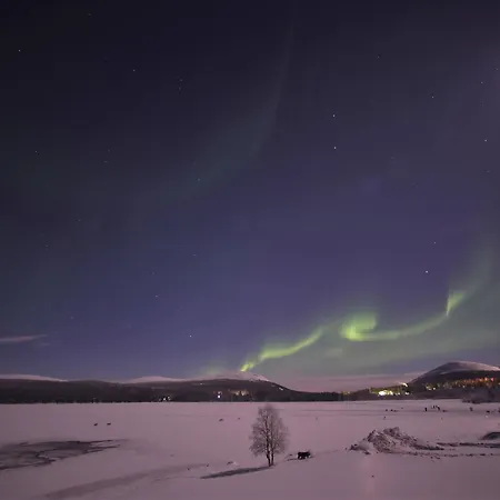Yllaeksen Yoepuu Holiday home *