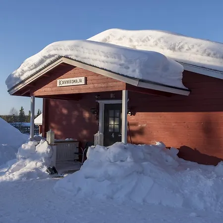 Yllaeksen Yoepuu Holiday home *