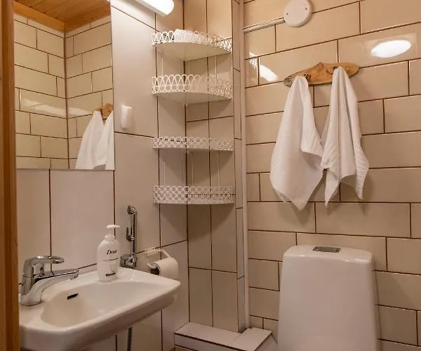 Yllaeksen Yoepuu 펜션 *