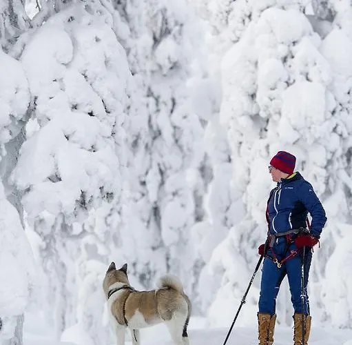 伊拉科森于普酒店 度假居 *