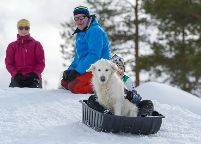 Yllaeksen Yoepuu 펜션 Äkäslompolo