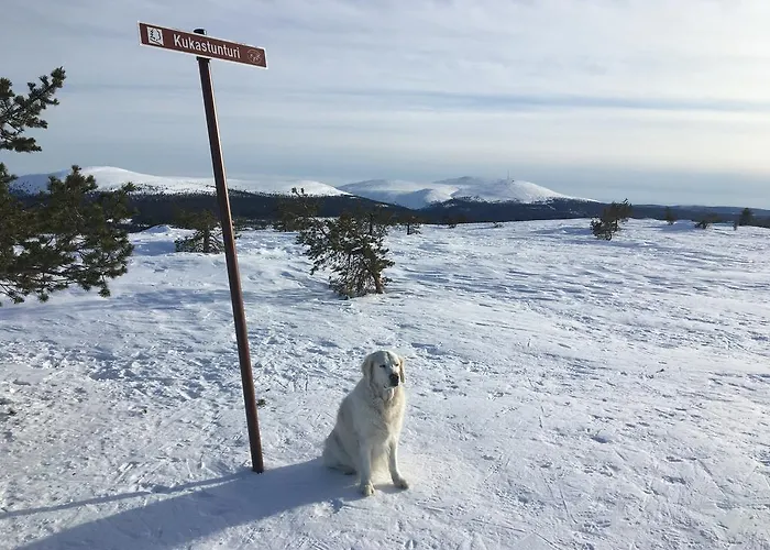 度假居 伊拉科森于普酒店 Äkäslompolo