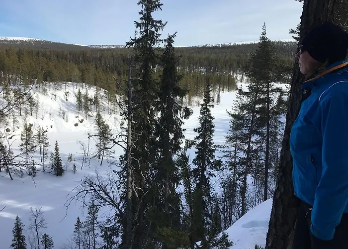 펜션 Yllaeksen Yoepuu