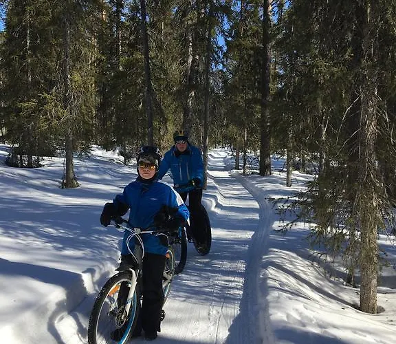 Yllaeksen Yoepuu 펜션 *