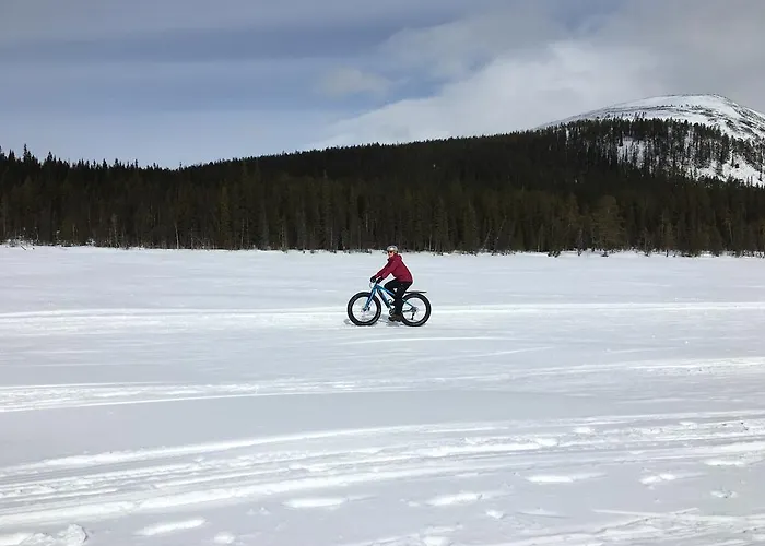 펜션 Yllaeksen Yoepuu *