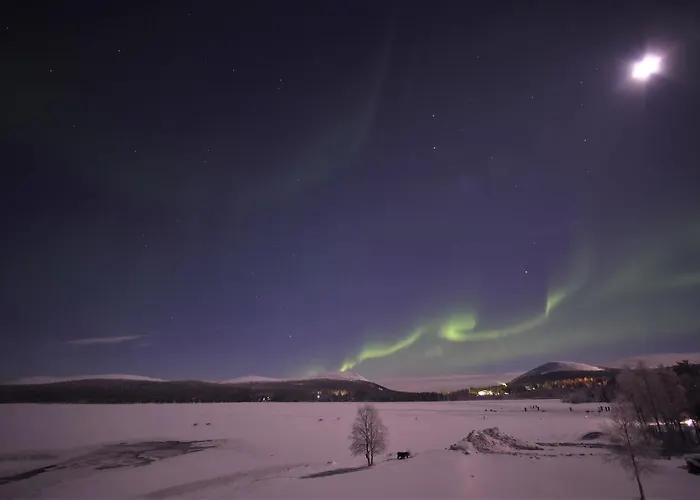 Yllaeksen Yoepuu 펜션 *