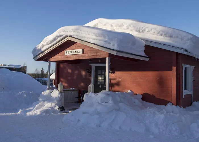 Yllaeksen Yoepuu 펜션 *