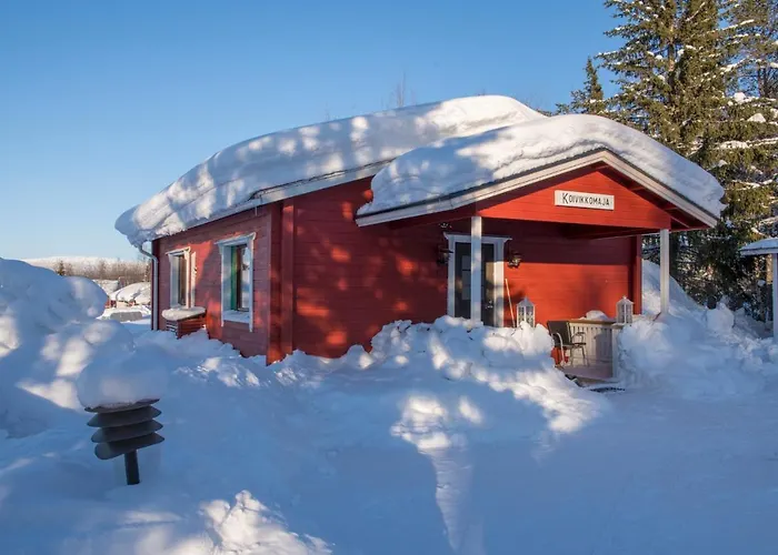 Feriehus Yllaeksen Yoepuu